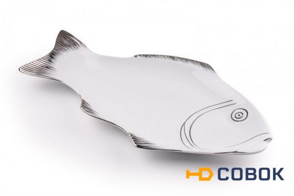 Фото Блюдо в форме рыбы - 52 см. BUFFET & CATERING (9902753)