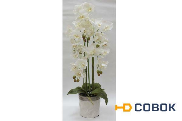 Фото Декор.цветы Орхидеи белые в керам.вазе - DG-F6835W Dream Garden