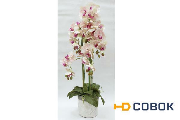 Фото Декор.цветы Орхидеи св.розовые в керам.вазе - DG-F6835LP Dream Garden