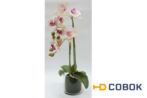 Фото Декор.цветы Орхидея св.розовая в стекл.вазе - DG-F6836LP Dream Garden