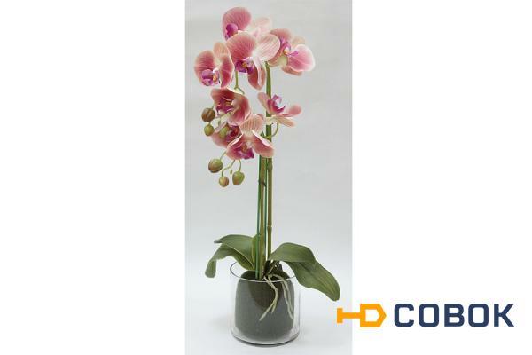 Фото Декор.цветы Орхидея тём.розовая в стекл.вазе - DG-F6836DP Dream Garden