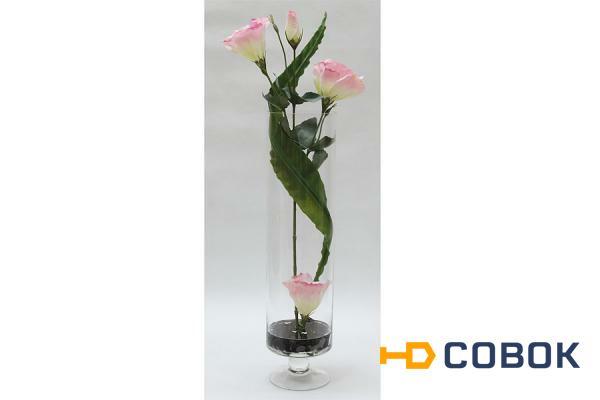 Фото Декор.цветы Лизиантус розовый в стекл.вазе - DG-F6878 Dream Garden
