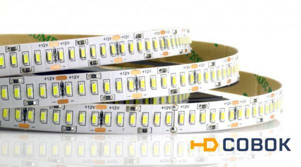 Фото DMLED Открытая светодиодная лента DM 3014 240LED/m IP20 12V White