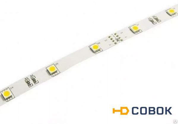 Фото Лента светодиодная LS 35B-60/65 60LED 4.8Вт/м 12В IP65 синий