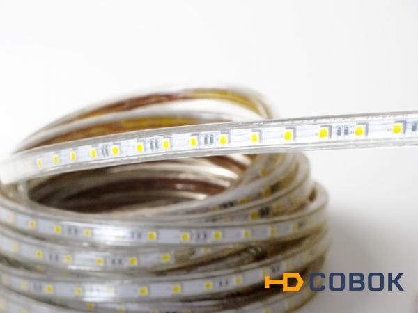 Фото Светодиодная лента 220 V LP IP68 5050/60 LED