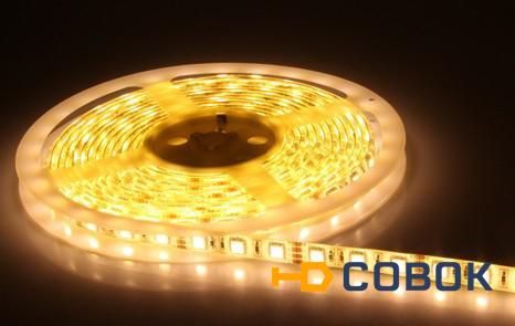 Фото Светодиодная лента SMD 3528 300LED (5 метр)