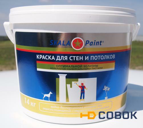 Фото Краска водно-дисперсионная ВД-АК 24 для стен и потолков Skala Paint (3 кг)