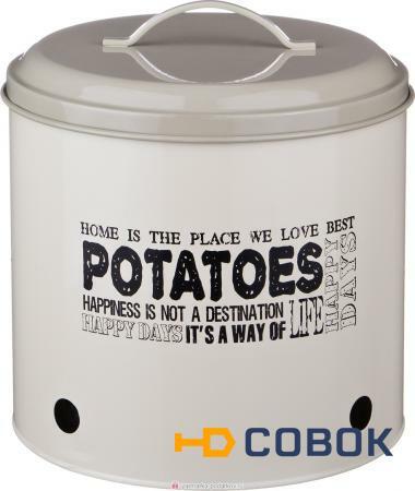 Фото Емкость для пищевых продуктов картофель высота 23 см