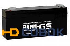 Фото Fiamm FG 10301