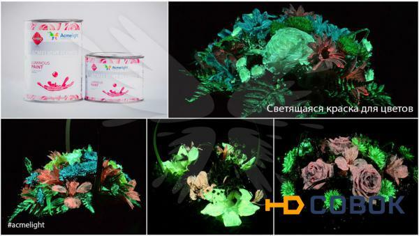 Фото AcmeLight Flower для нанесения на цветы (0,25; 0,5; 1 л)