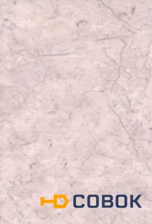 Фото Ладога PRORAB Плитка облицовочная 200х300х5 Ладога розовый (1упак=1,44м2/24шт)