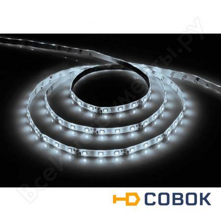 Фото Cветодиодная LED лента 60SMD(2835)/м