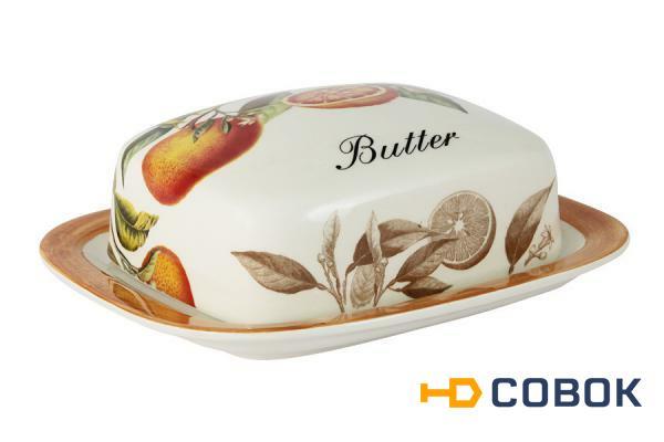 Фото Масленка Апельсины - LCS874B-AR-AL LCS