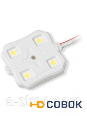 Фото Светодиодный модуль Geniled GL-4SMD5050W3737 7000-8000К