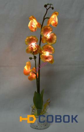 Фото Светодиод. Декор Орхидея в вазе 0,5Вт 7LED 3*АА 63х10см ст.,пл./желто-розовая/тепл.белый PL307 Feron
