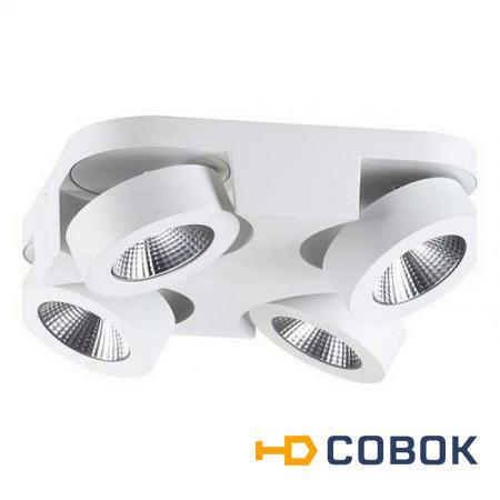 Фото Спот светодиодный LED Laconis 3538/4LC