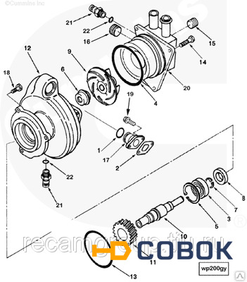 Фото Ремкомплект Водяного Насоса Cummins Qsm/Ism/M-11 (4955802