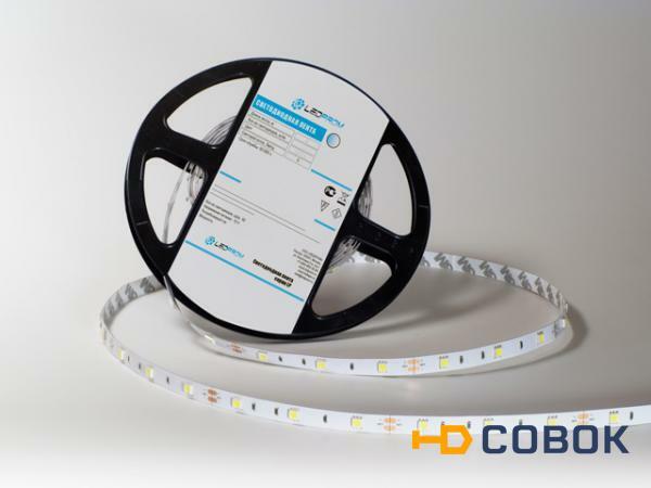 Фото Светодиодная лента LP IP22 5050/30 LED