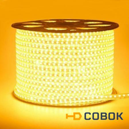 Фото Светодиодная лента 220 вольт 3528 60 LED IP67 4,8Вт/м желтого свечения