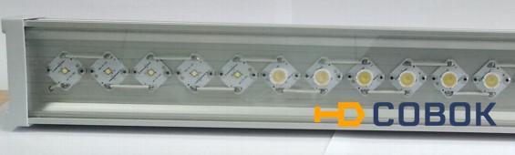 Фото Светодиодный светильник для внешнего освещения / СС-092-11340-К8-220В-IP67-1