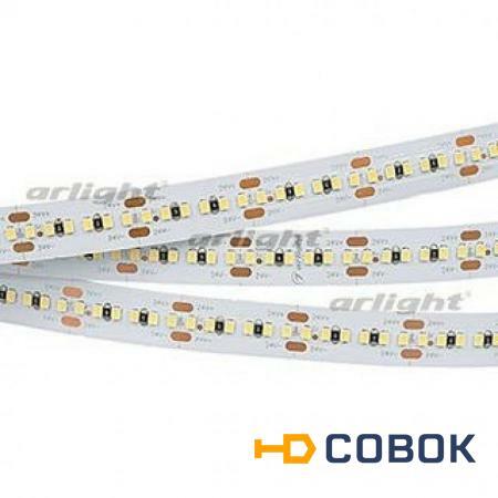 Фото Светодиодная лента MICROLED-5000HP 24V White6000 10mm (2216