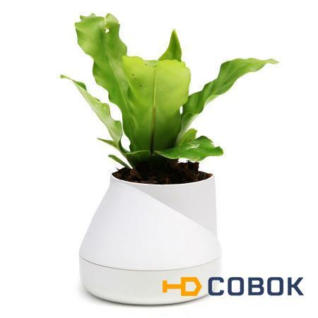 Фото Горшок цветочный hill pot