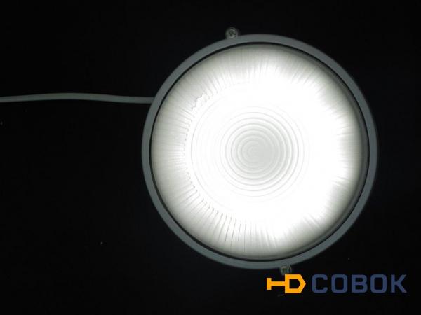Фото Светильник светодиодный бытовой настенный ЖКХ 12