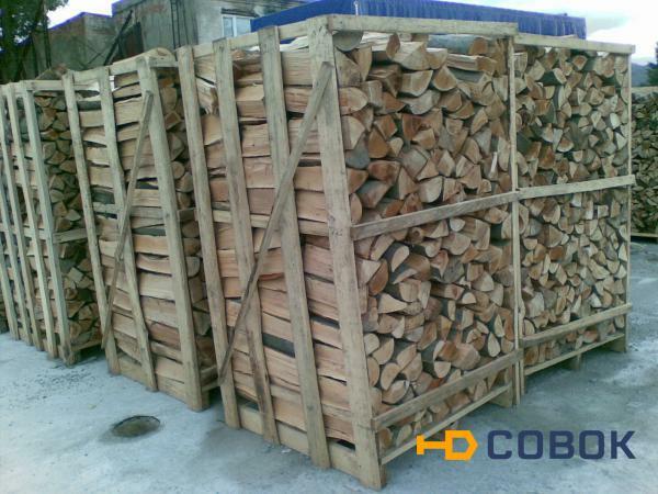 Фото Закупаем дрова колотые твердых пород дерева