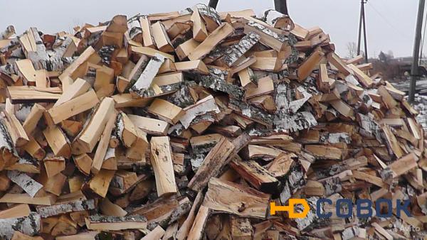 Фото Купить дрова в Омске