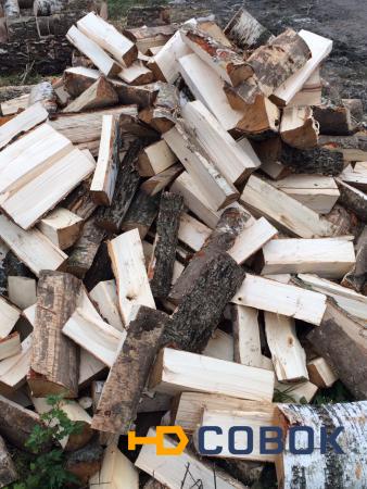 Фото Продам дрова березовые