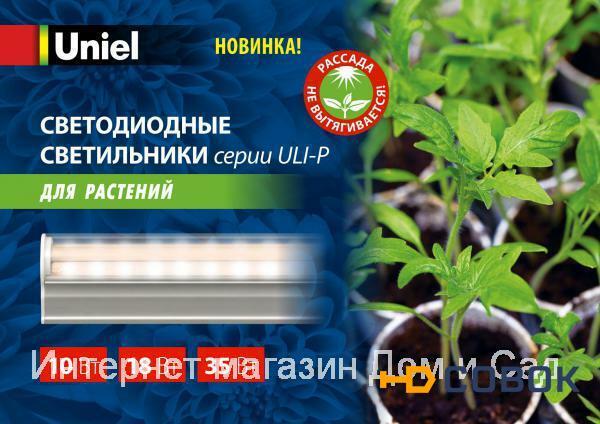 Фото Фитосветильник led светодиодный Fito ULI-P10-10W/SPFR фитолампа досветки цветов