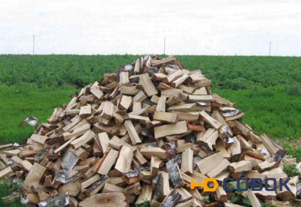 Фото Колотые дрова с доставкой по Спб и ЛО