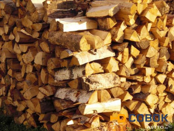 Фото Колотые березовые дрова в мешках с доставкой по Спб и ЛО