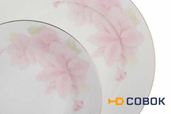 Фото Столовый сервиз на 6 персон 23 пр."нежность" Porcelain Manufacturing (440-004)