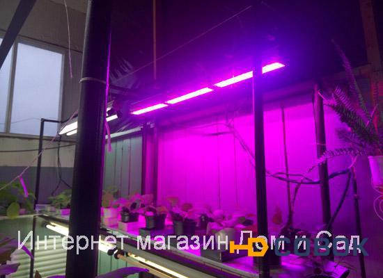 Фото Фитосветильник led светодиодный Fito ULI-P10-10W/SPFR фитолампа досветки растений