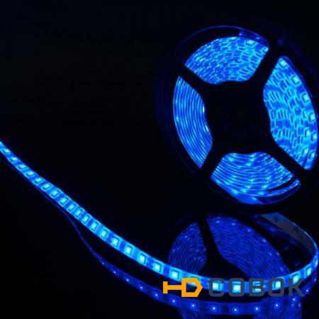 Фото Герметичная светодиодная лента синего свечения 5050 300 led