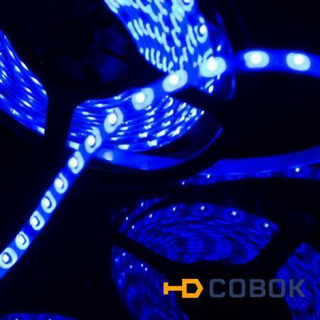 Фото Герметичная светодиодная лента синего свечения 3528 300 LED