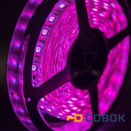 Фото Герметичная светодиодная лента многоцветная