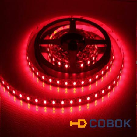 Фото Герметичная светодиодная лента многоцветная 5050 300 led