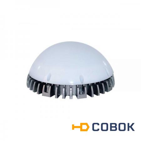 Фото Светодиодный светильник для парилки с матовым стеклом 10W 12V IP65 Ni NW
