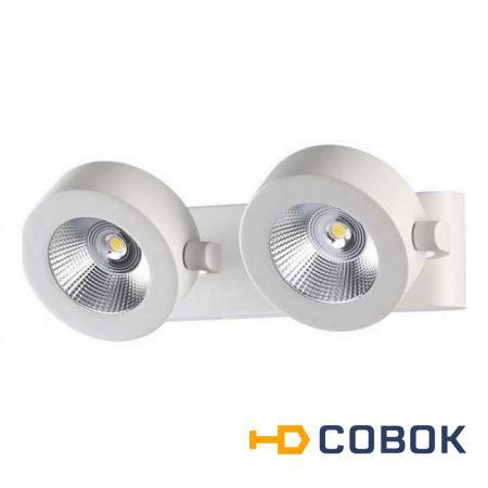 Фото Спот светодиодный LED Pumavi 3493/20WL