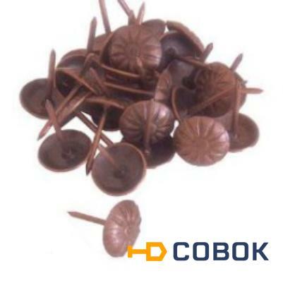 Фото Декоротивные гвозди (темно- коричневый) 100 шт
