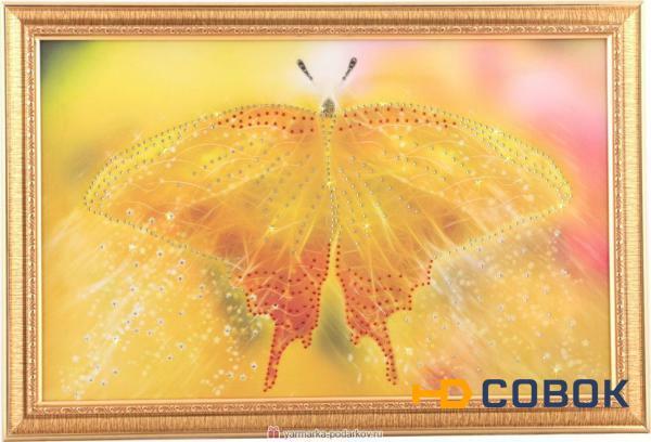 Фото Картина бабочка желтая