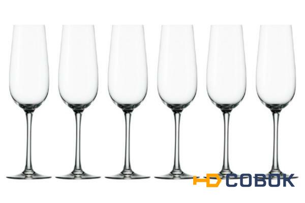 Фото Набор: 6 бокалов для шампанского Weinland - STZ-1000007-AL Stolzle