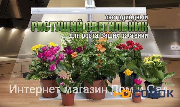 Фото Светодиодный растущий фитосветильник Здоровья Клад 16 Вт для подсветки рассады