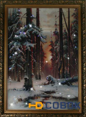 Фото Зимний закат в еловом лесу (1113)