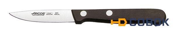 Фото Нож для чистки овощей и фруктов Arcos Universal Paring Knife 280104