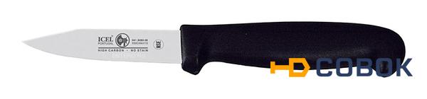 Фото Нож для чистки овощей ICEL Practica Paring Knife 24100.3083000.080