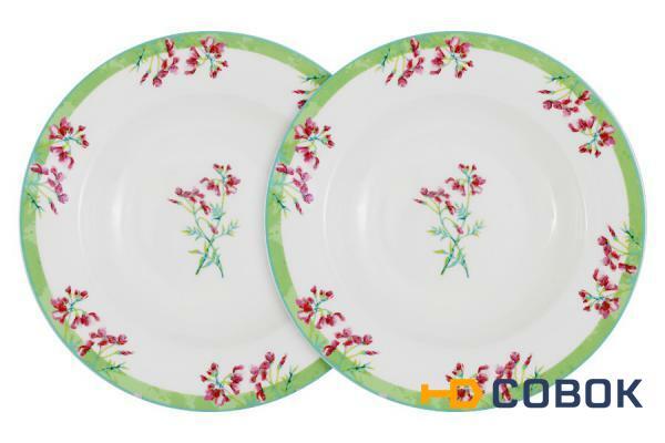 Фото Набор из 2-х суповых тарелок Цветущий горошек - PF-15-029-5-AL Primavera