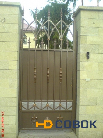 Фото Металлические двери с элементами ковки и литья.